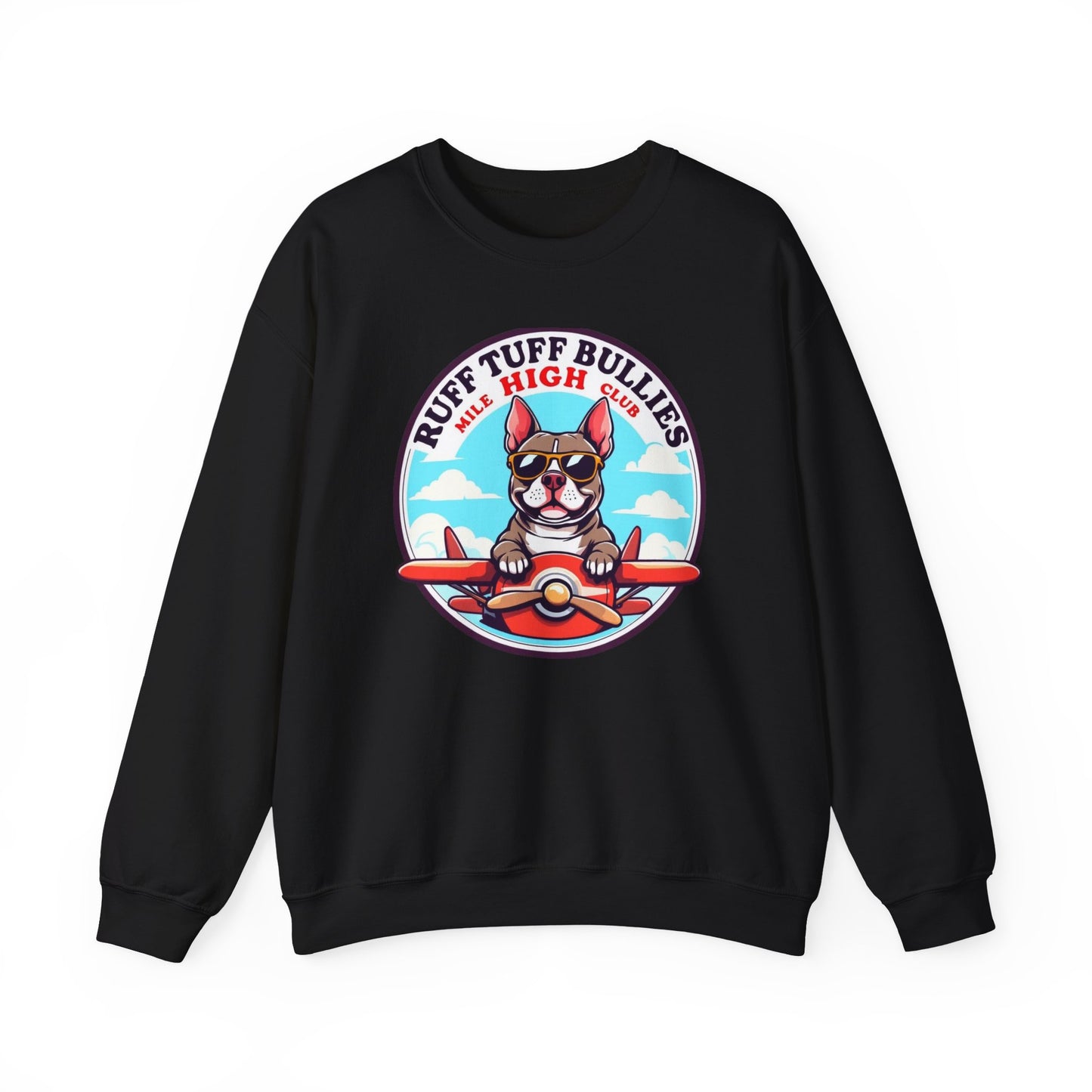 Crewneck Sweatshirt - *10 Entries*