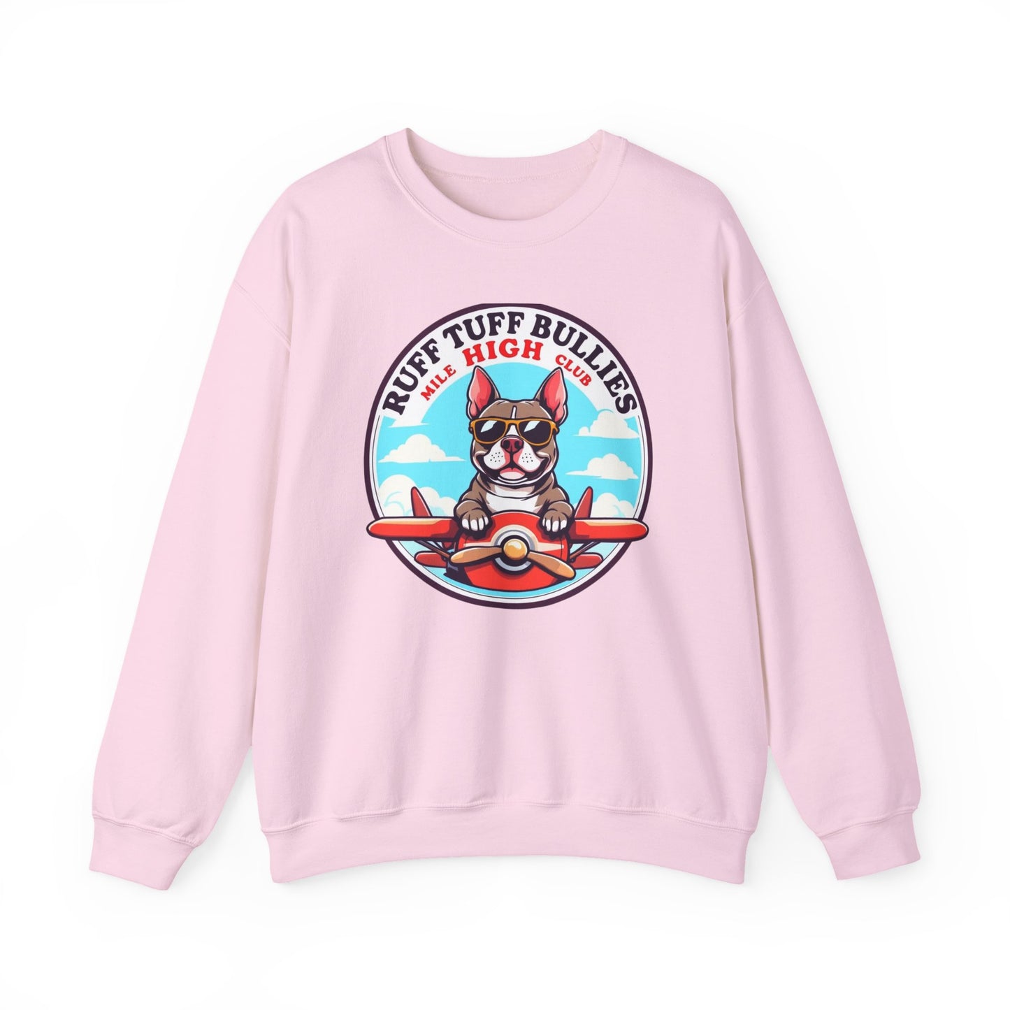 Crewneck Sweatshirt - *10 Entries*